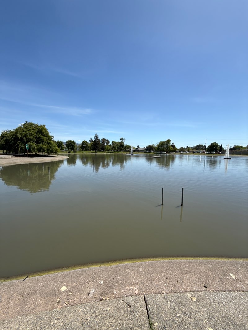 walking near me in Lucchesi Park in spring