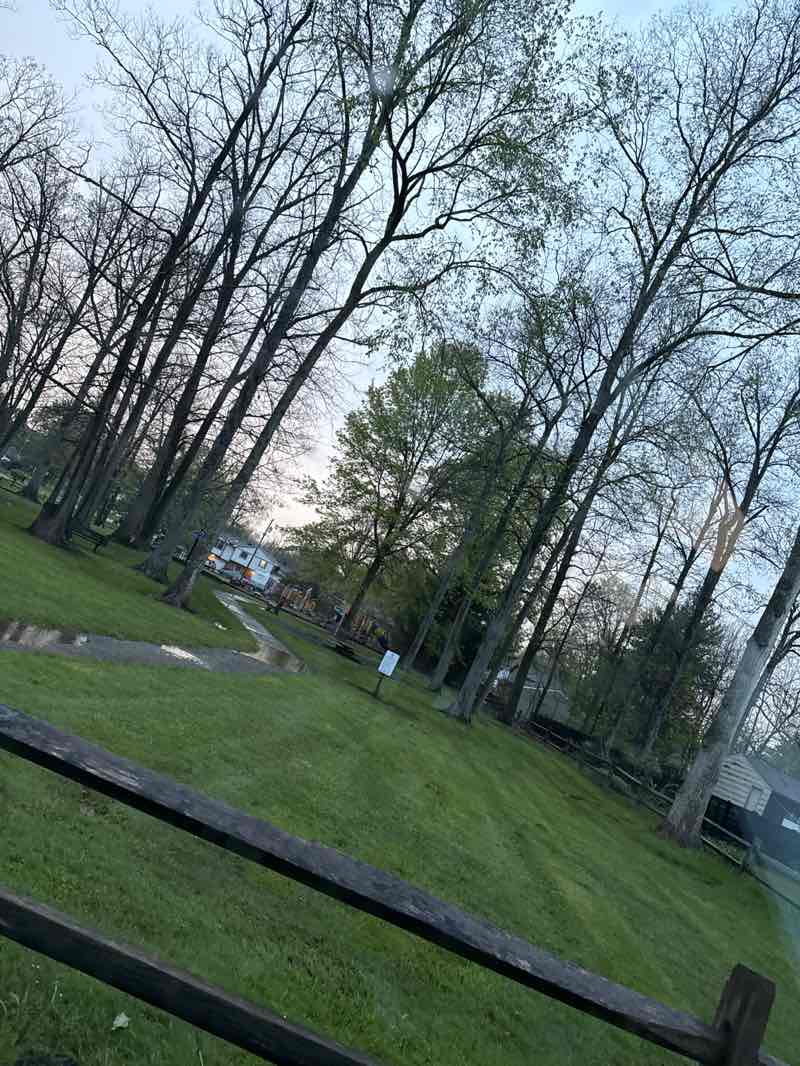 walking near me in Liz Strahan Park in spring