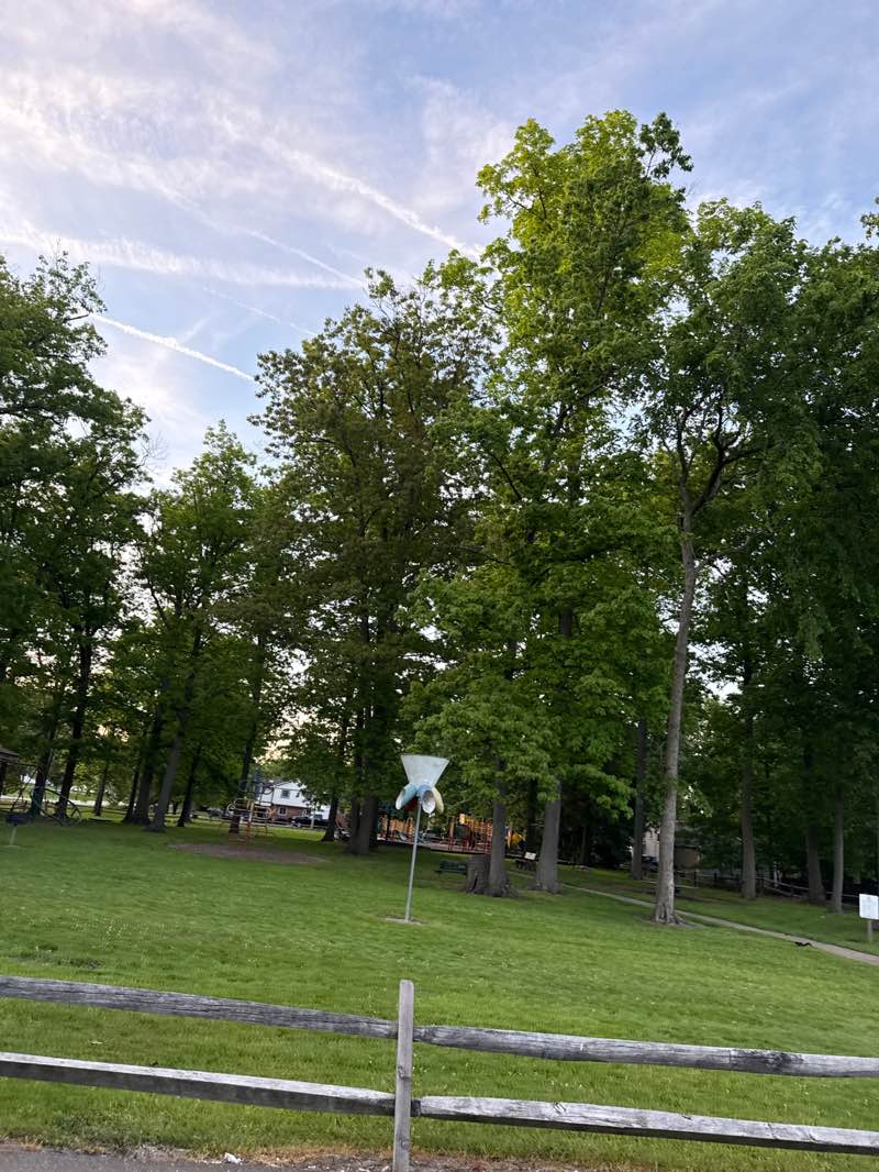 walking near me in Liz Strahan Park in summer
