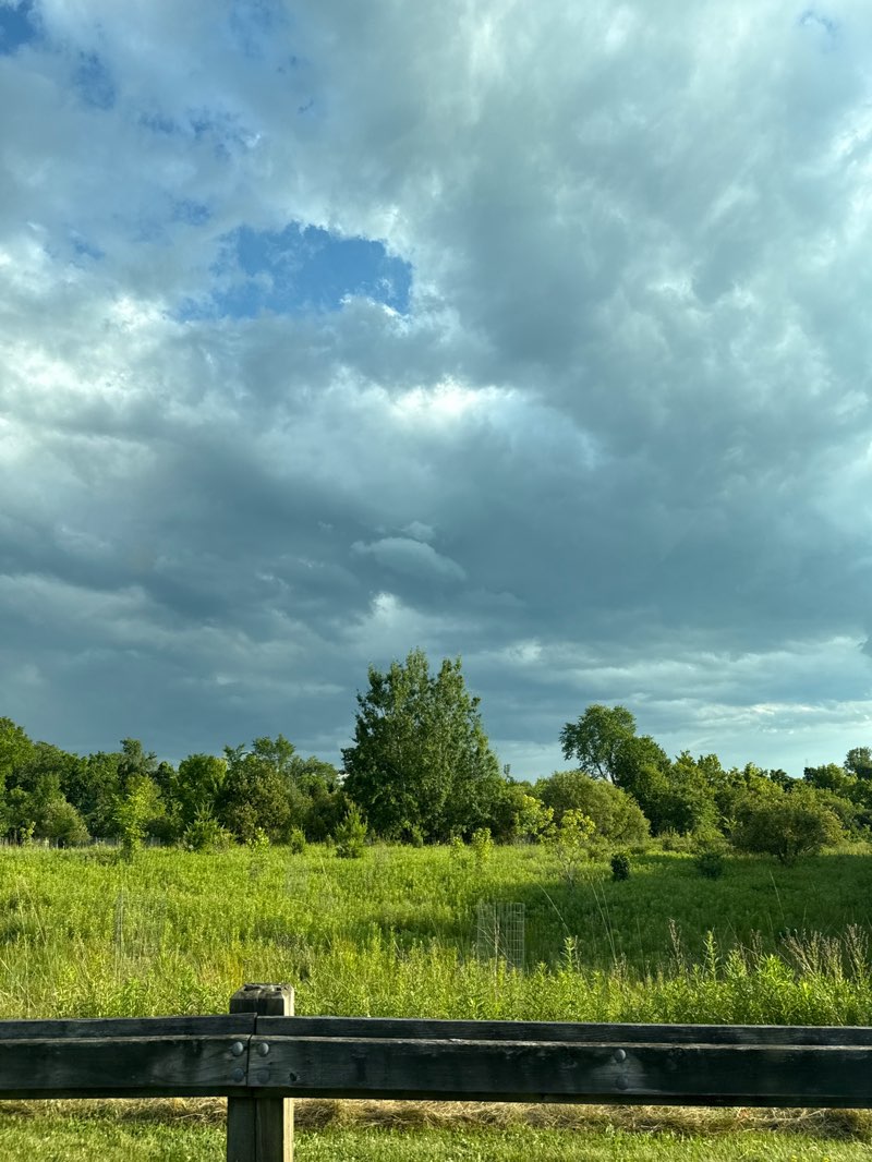 walking near me in Liberty Park Nature Area in summer