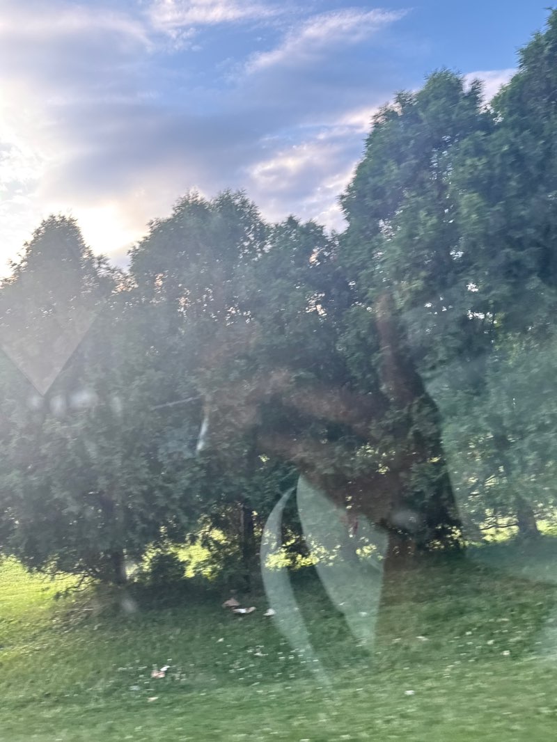 walking near me in Centerville Mills Park in summer