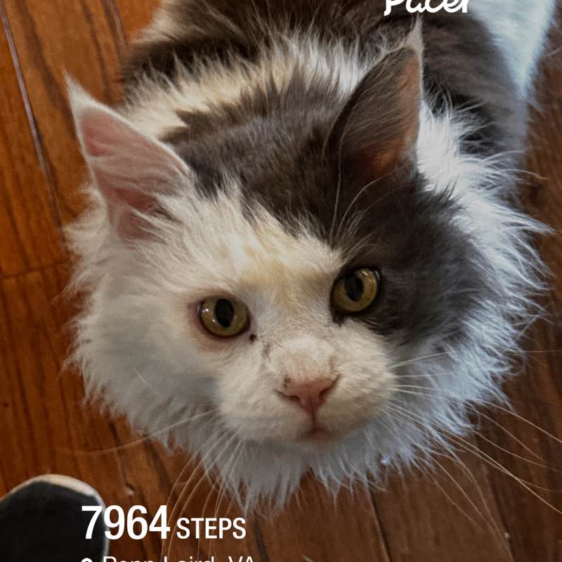 Melissa V Smith post 1