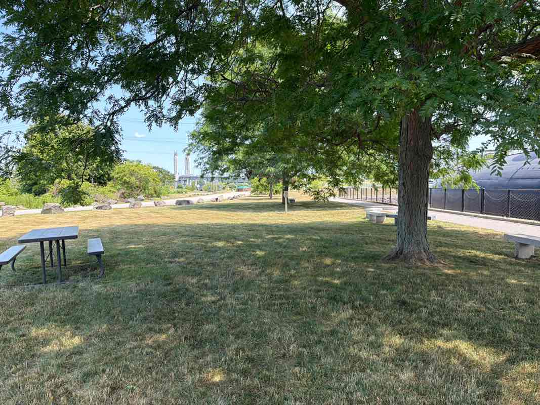 walking near me in Albacore Park in summer