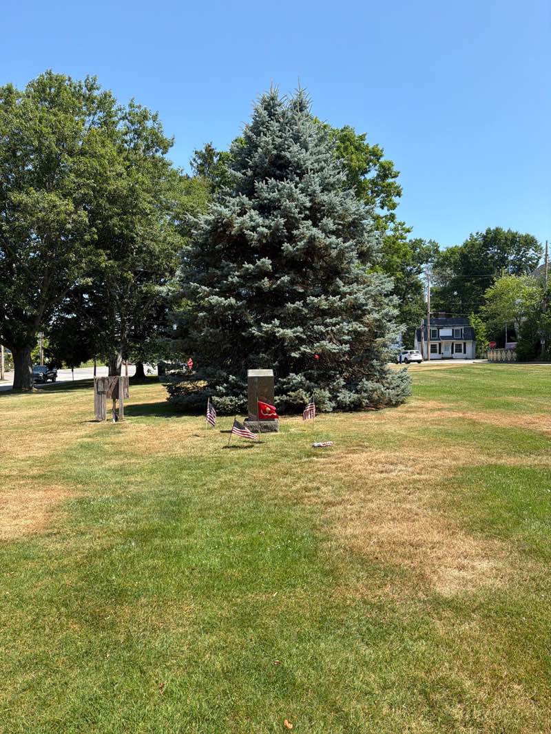 walking near me in John Paul Jones Memorial Park in summer