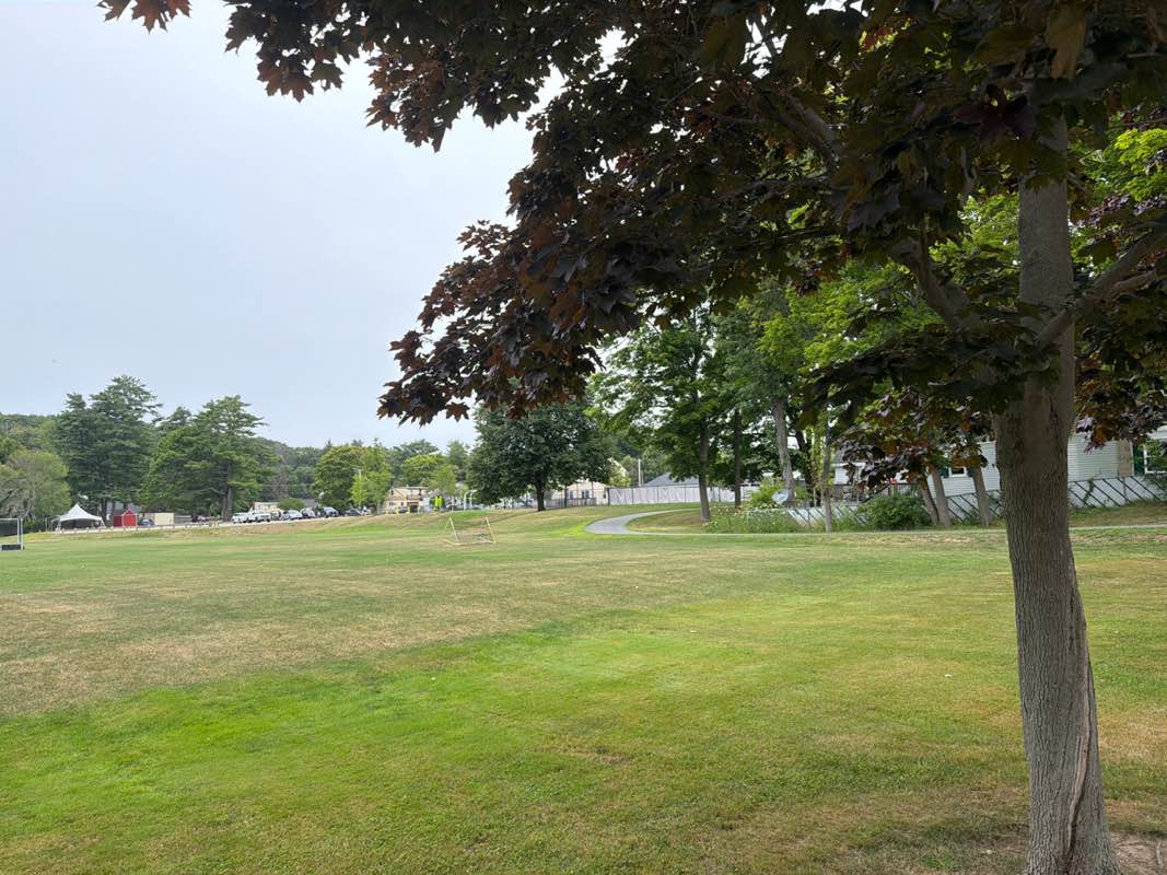 walking near me in Emery Park in summer