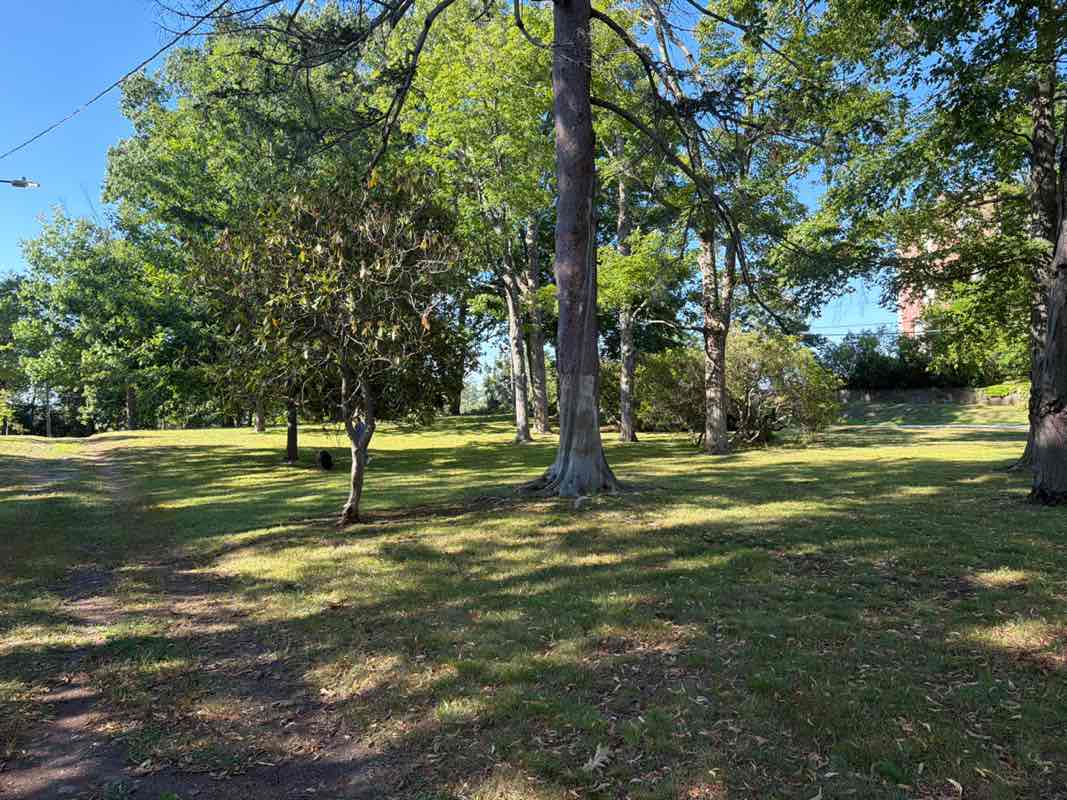 walking near me in Landon Park in summer