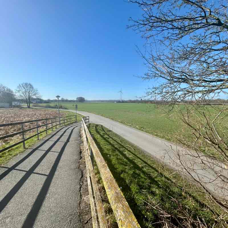 Die Selbstläufer ☄️🏃♀️💥 Anke post image