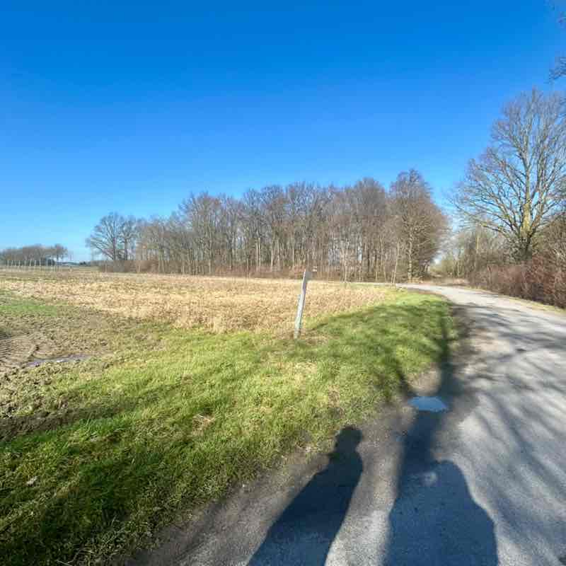 Die Selbstläufer ☄️🏃♀️💥 Anke post image