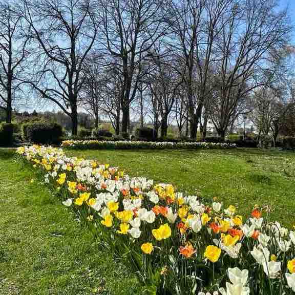 Die Selbstläufer ☄️🏃‍♀️💥 Anke post image