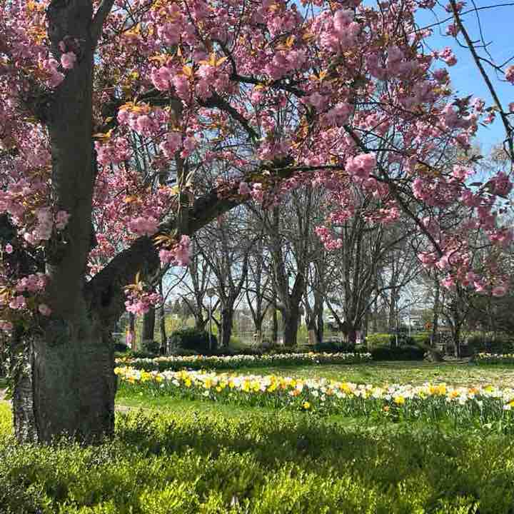 Die Selbstläufer ☄️🏃‍♀️💥 Anke post image