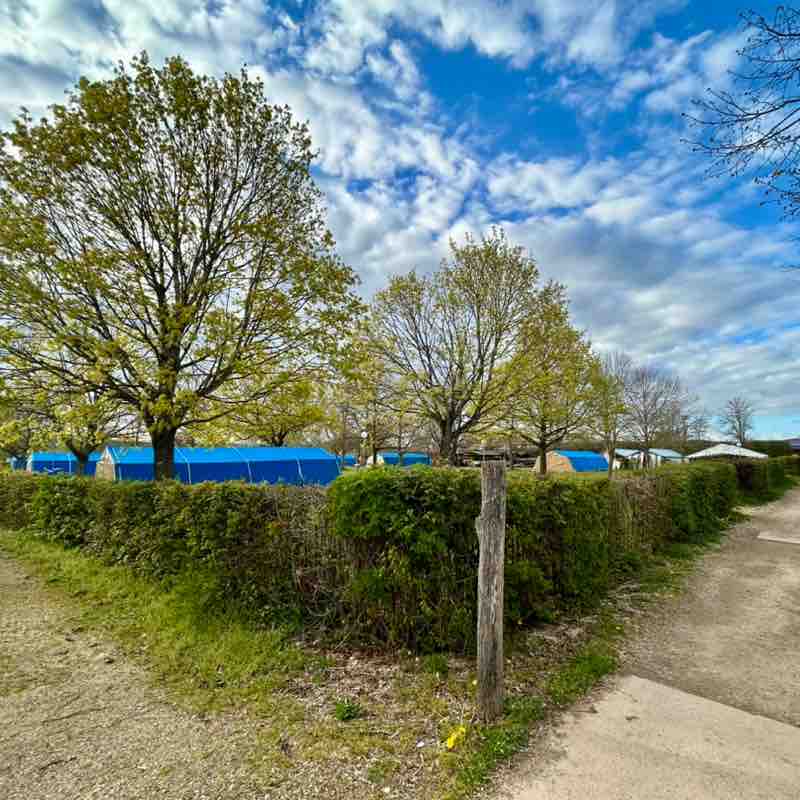 Die Selbstläufer ☄️🏃‍♀️💥 Anke post image