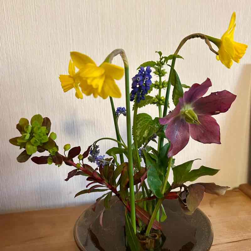 Die Selbstläufer ☄️🏃‍♀️💥 Anke post image