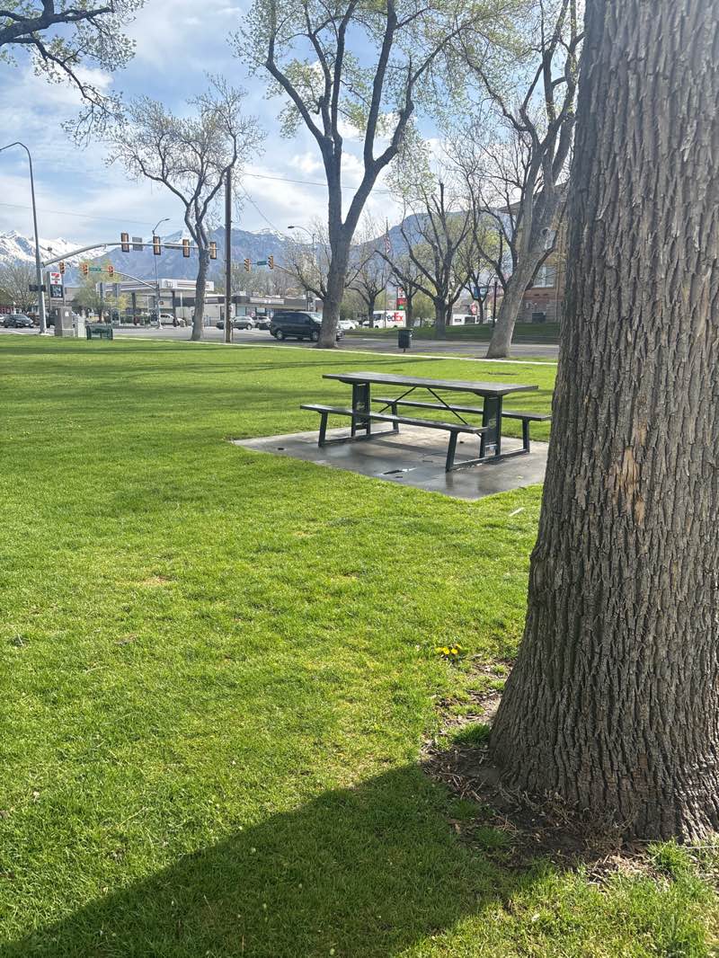 walking near me in Robinson Park in spring