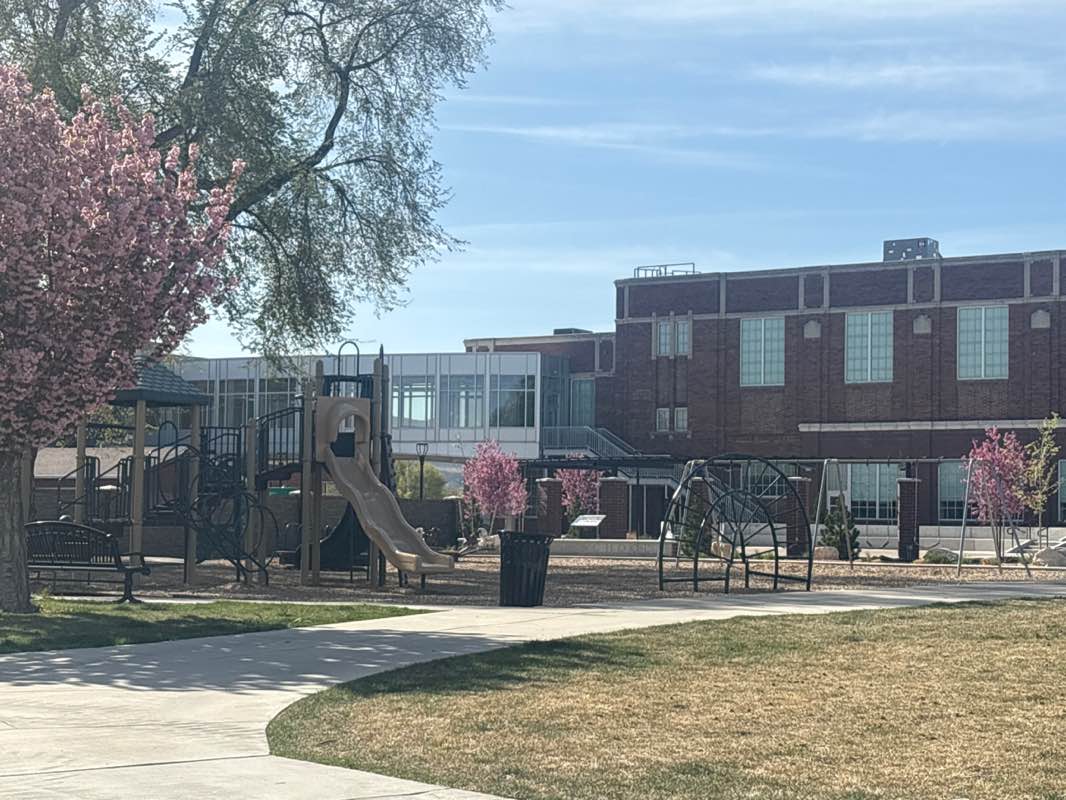 walking near me in City Hall Park in spring