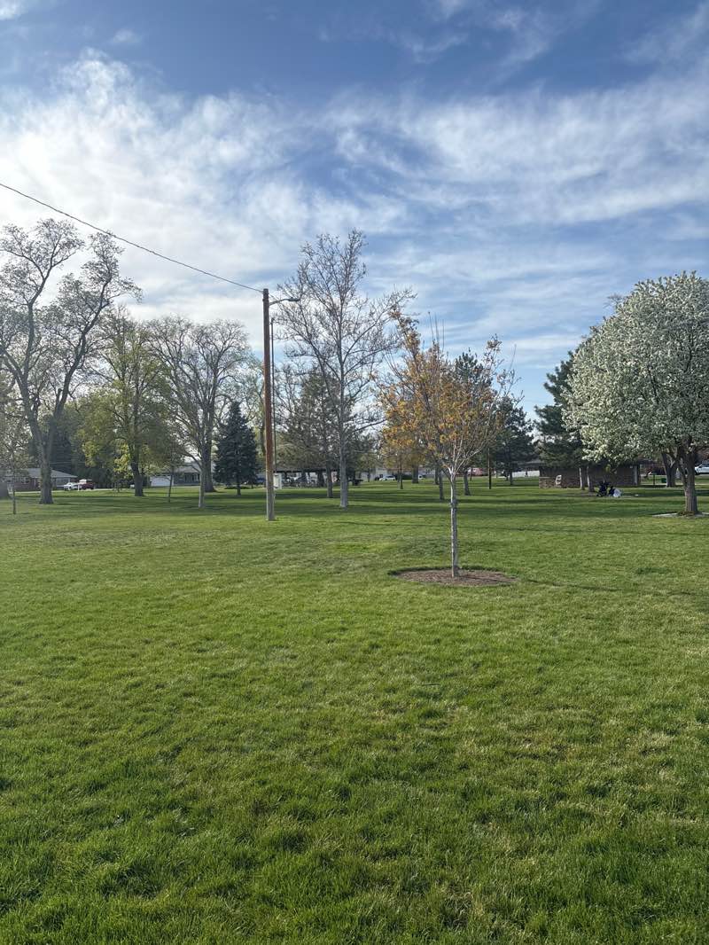 walking near me in Margaret Wines Park in spring
