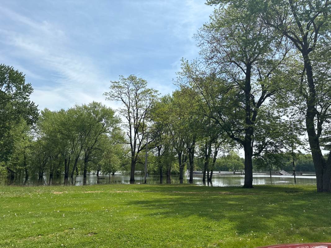 walking near me in Ferry Park in spring