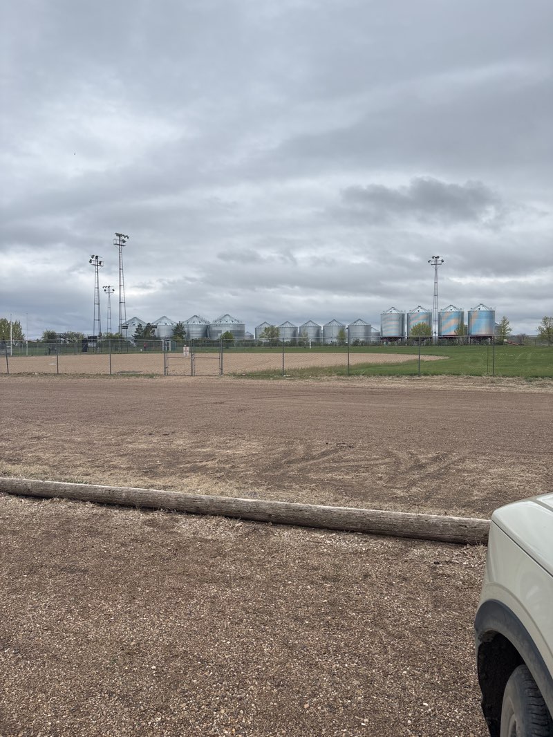 walking near me in Sportsman Park in spring