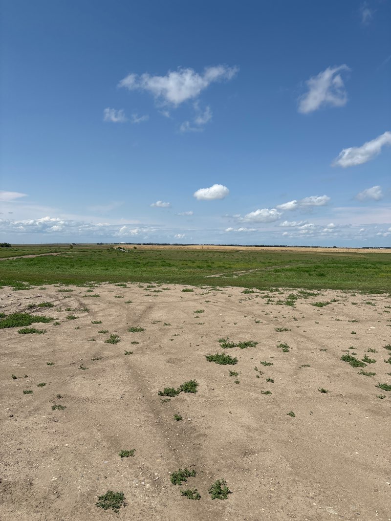 walking near me in Cote Park in autumn
