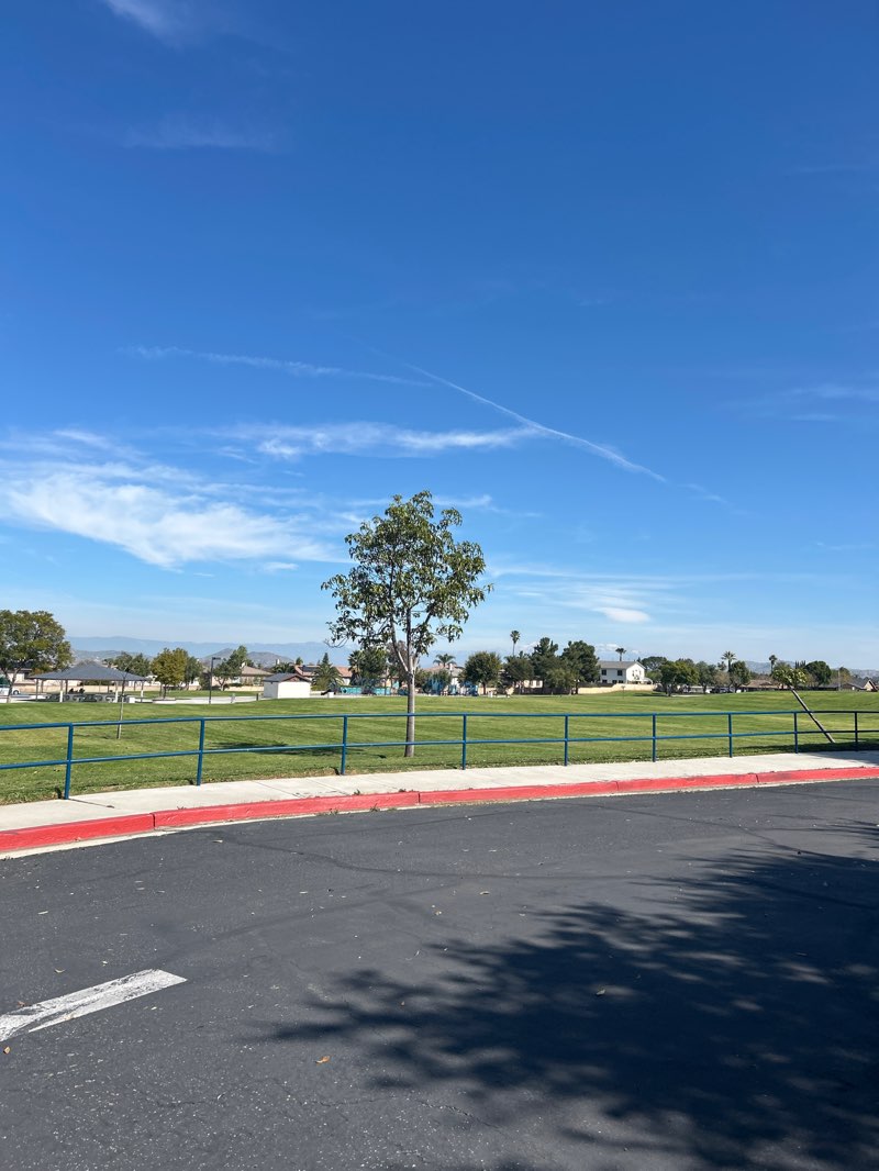 walking near me in Buena Vista Park in winter