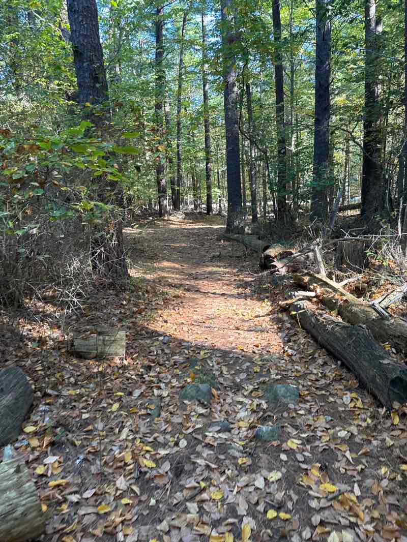 walking near me in Wompatuck State Park in autumn