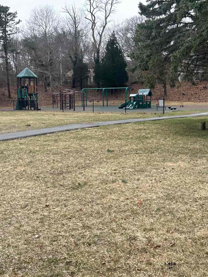 walking near me in Siever Field in spring