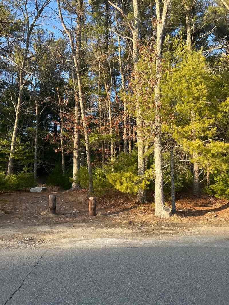 walking near me in Mayflower Cemetery Land in spring