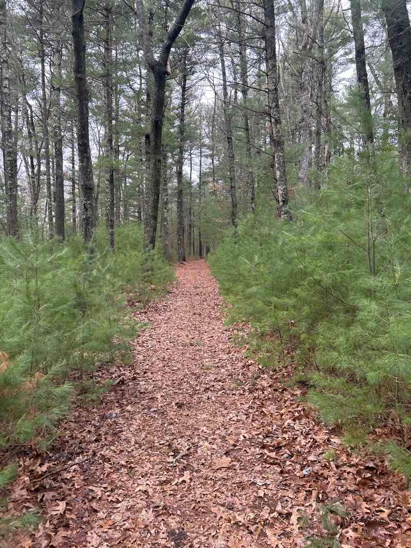 walking near me in Waiting Hill Preserve in spring