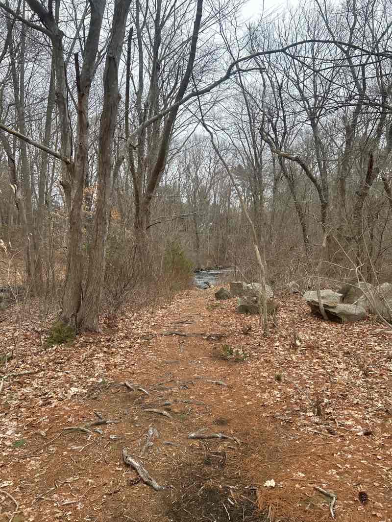 walking near me in Plymouth County Conservation in spring