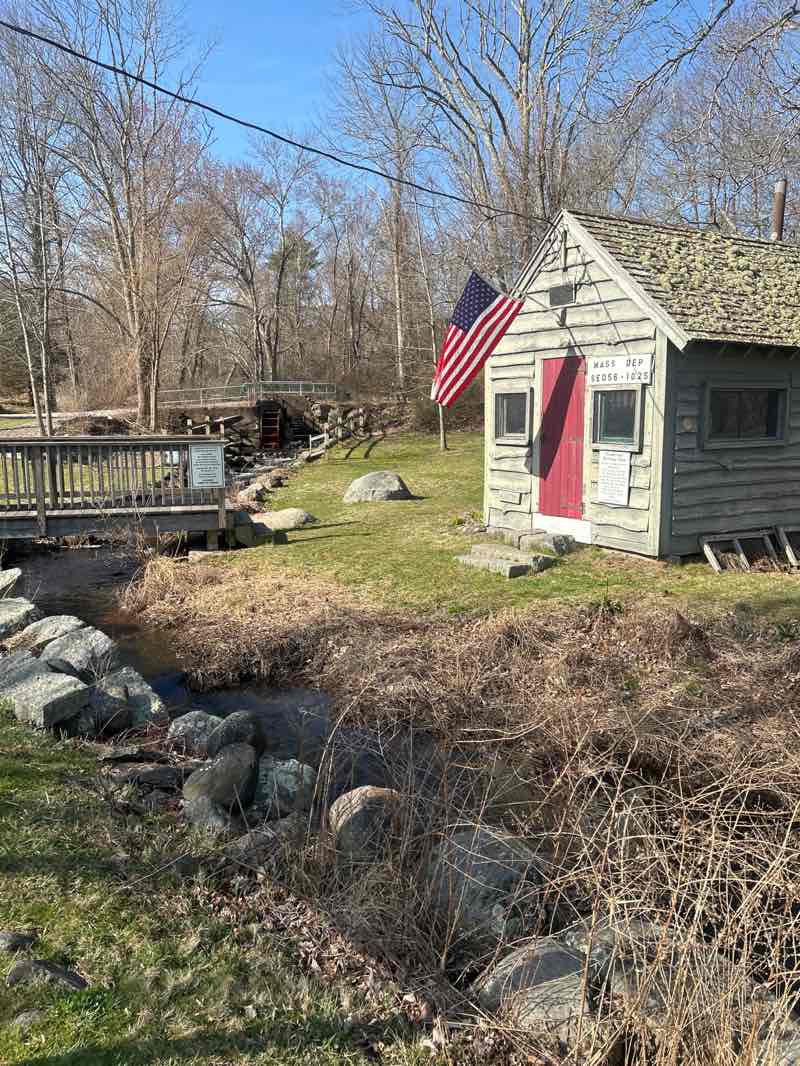 walking near me in Herring Run Historical Park in spring