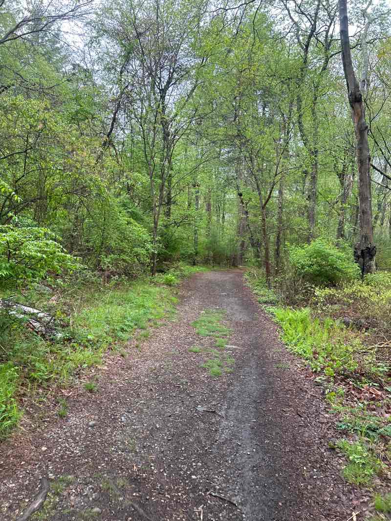 walking near me in Willow Brook Farm in spring