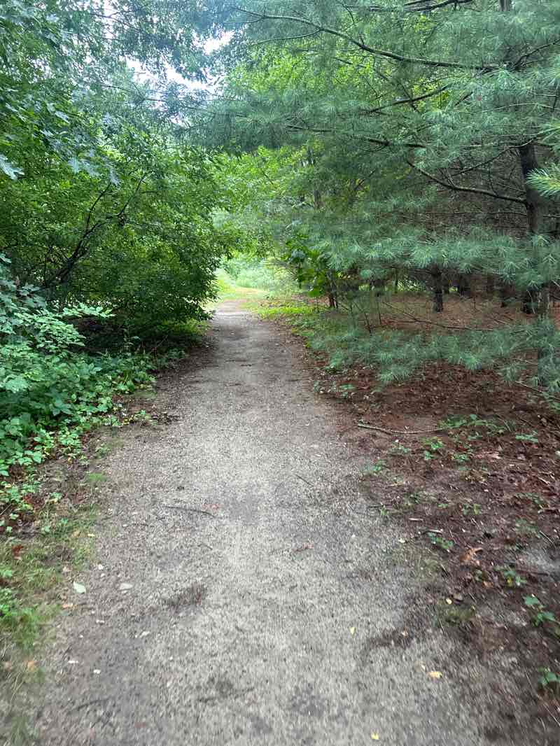 walking near me in Tubbs Meadow in summer