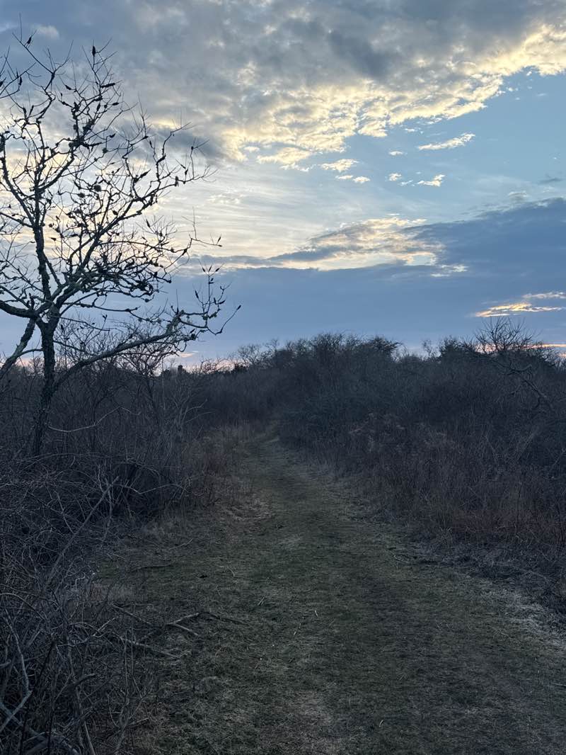 walking near me in Lily Pond Park in spring