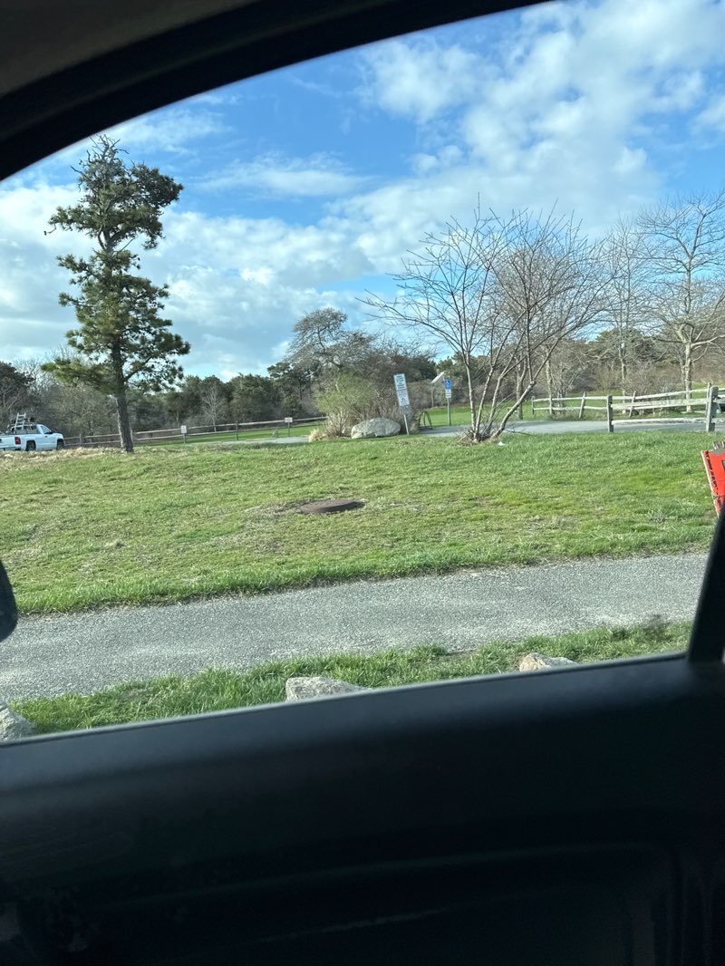 walking near me in Winter Park in spring