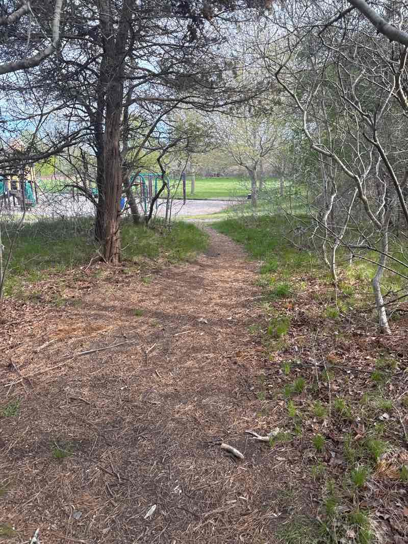 walking near me in Winter Park in spring