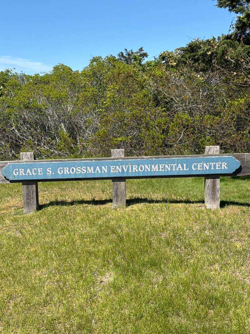 walking near me in University of Massachusetts Boston - Nantucket Field Station in summer