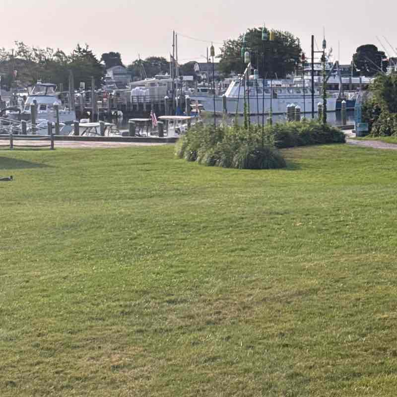Parker post 1