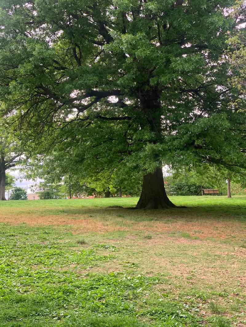 walking near me in Riverside Park in spring