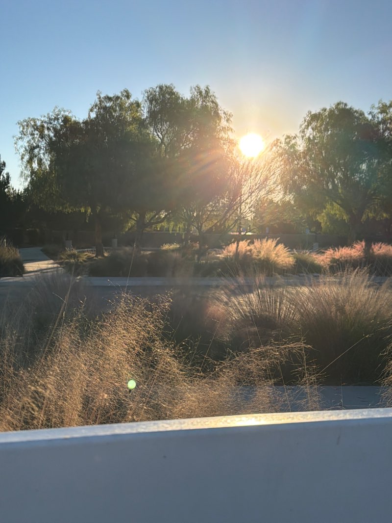 walking near me in Victory Park in winter