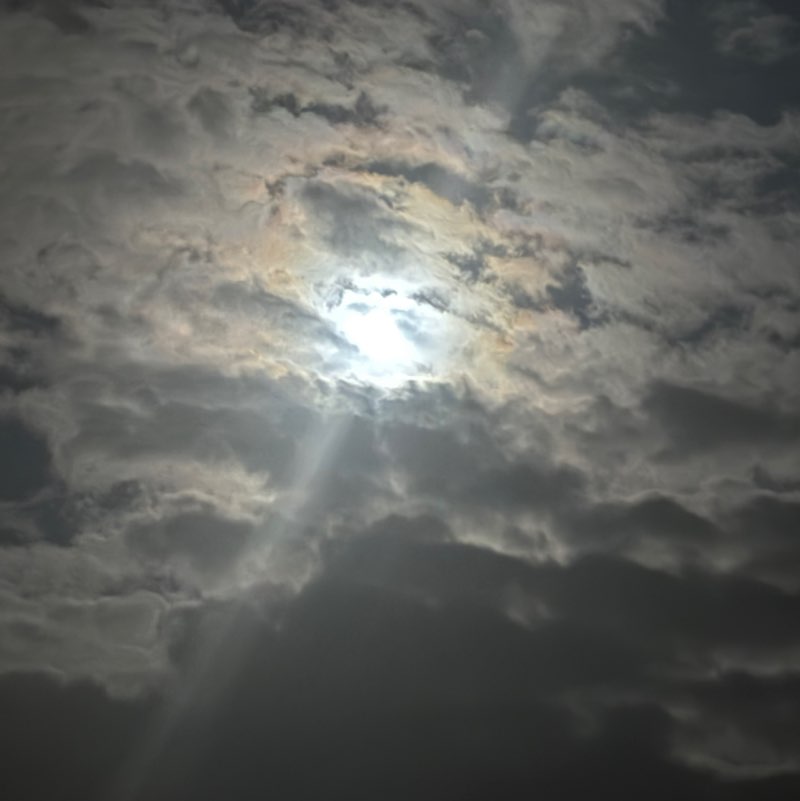 Nikol 🏆🏆🏆🏆🏆🏆🏆 post 2