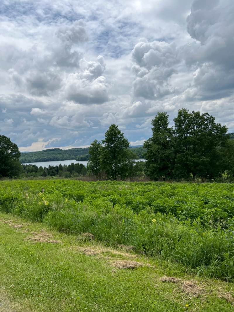 walking near me in State Game Lands Number 108 in winter
