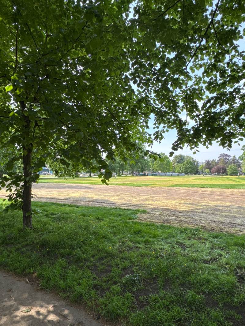 walking near me in Montpellier Gardens in spring