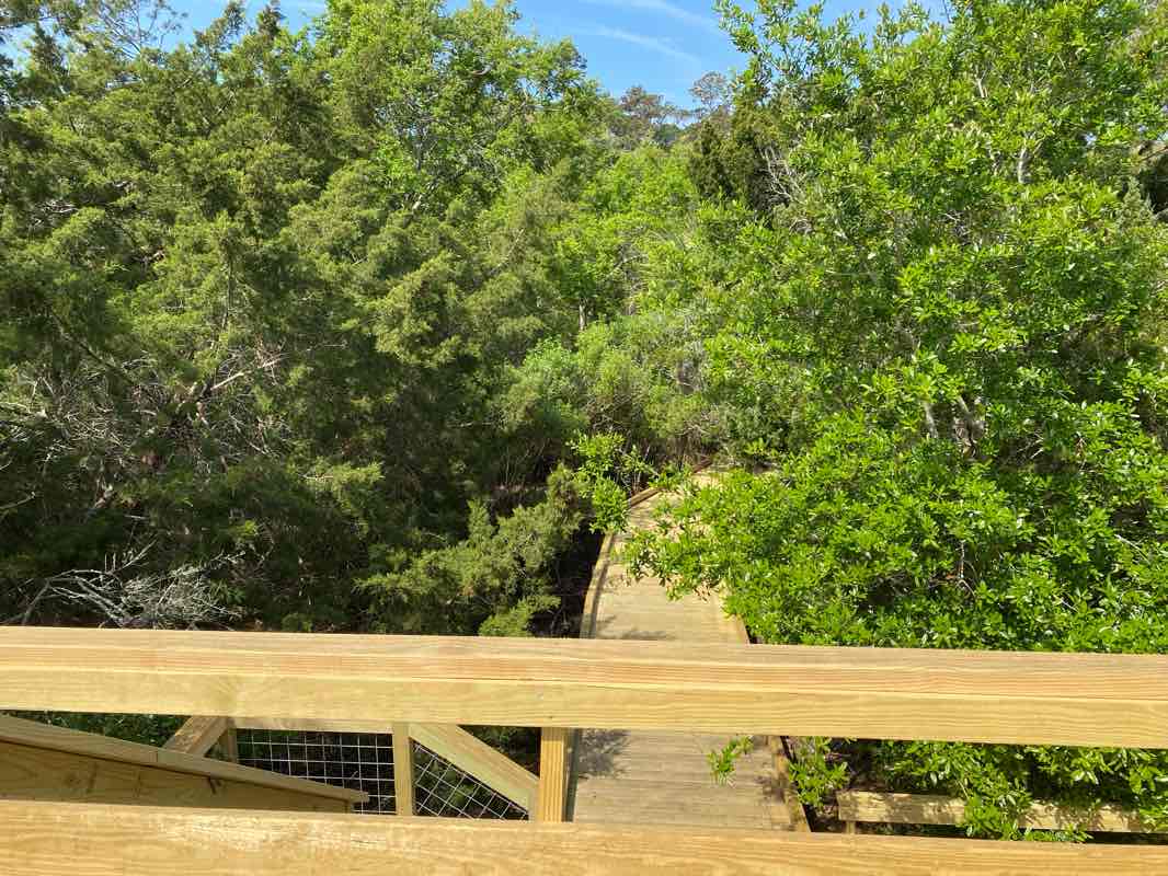 walking near me in The John Gilbert Nature Trail at Frederica Marsh in winter