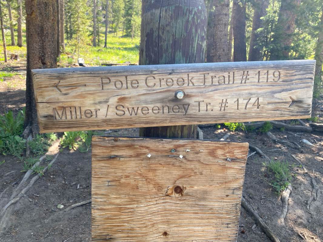 walking near me in Bridger Wilderness in summer