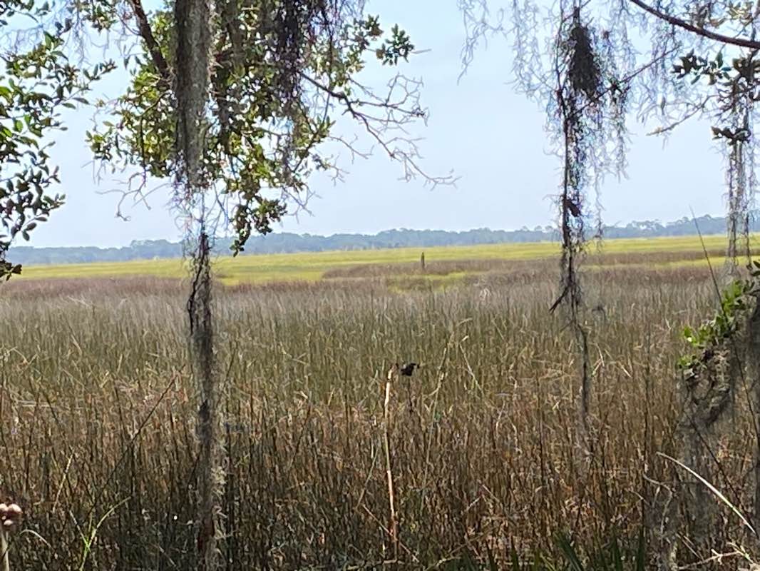 walking near me in Frederica Park in autumn