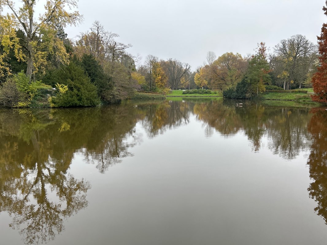 walking near me in Bowling Green in winter