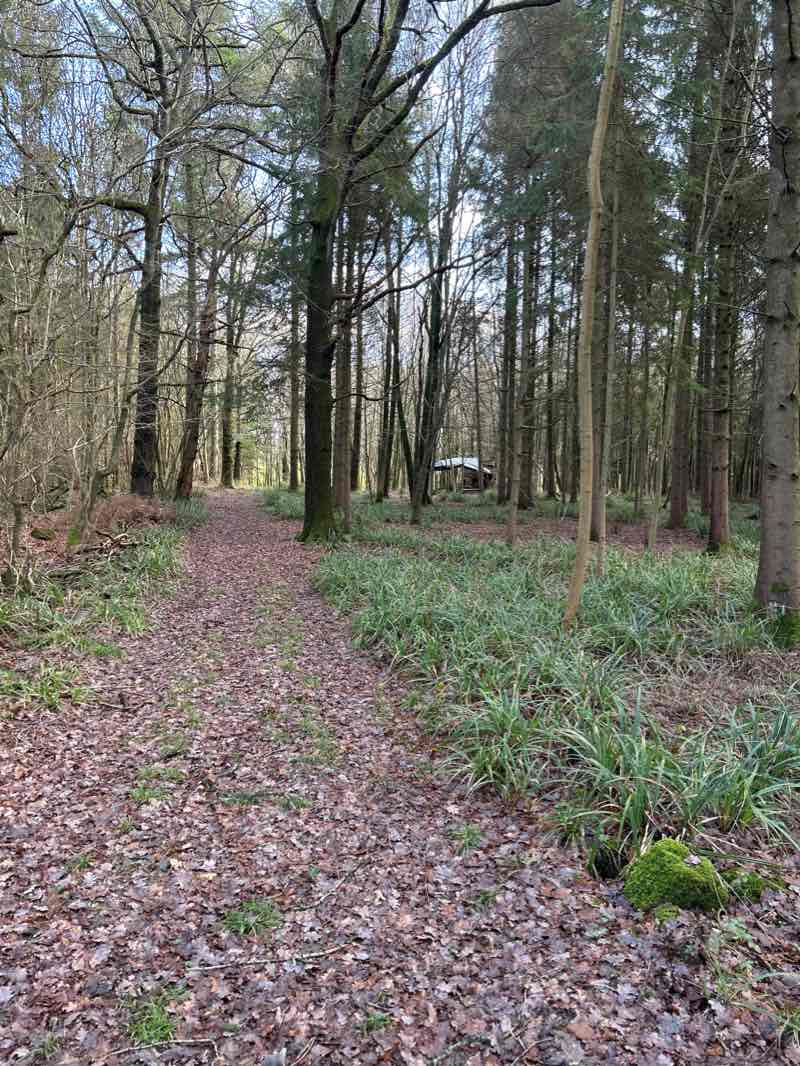 walking near me in The Green in winter