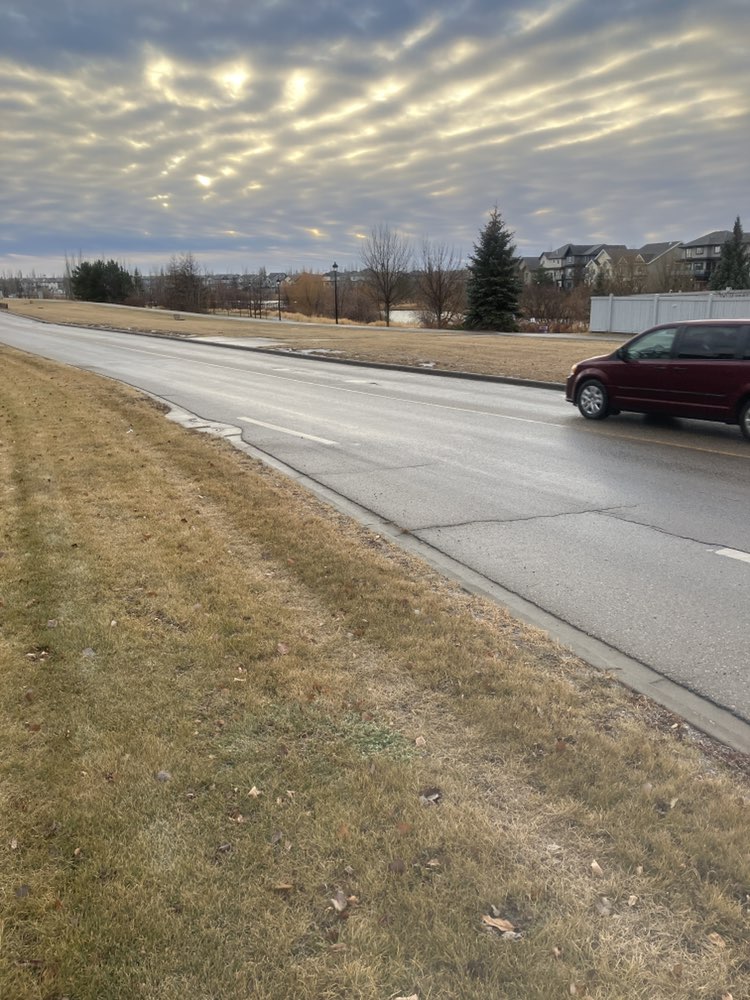 walking near me in Doug Kelly Park in autumn