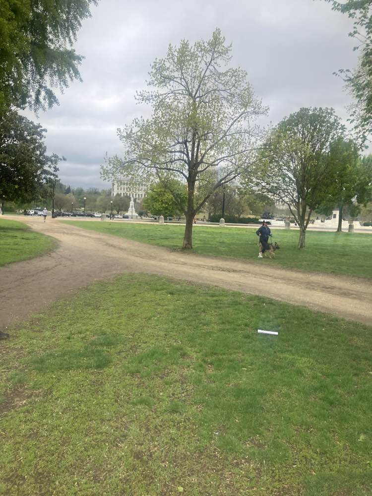 walking near me in Union Square in spring