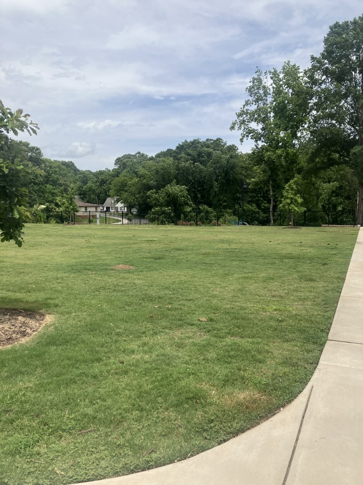 walking near me in David G. Barnes Children's Park in summer