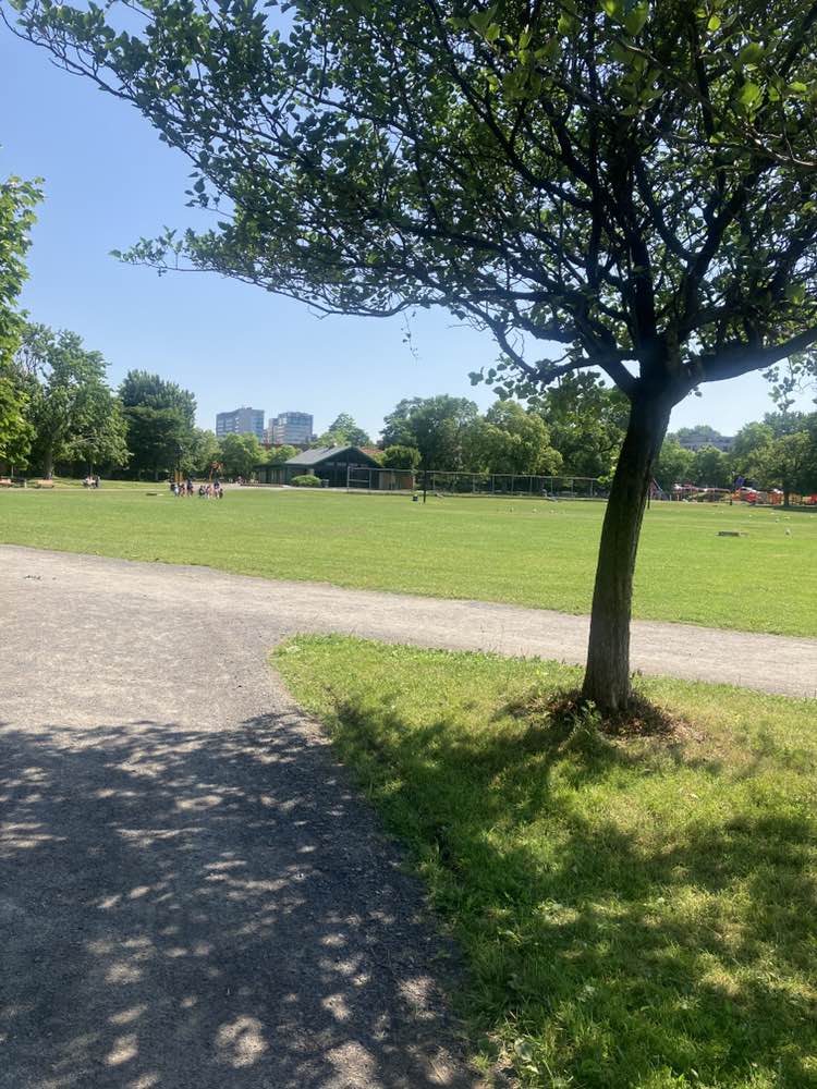 walking near me in Parc Van Horne in summer